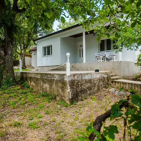 Anra Čitluk